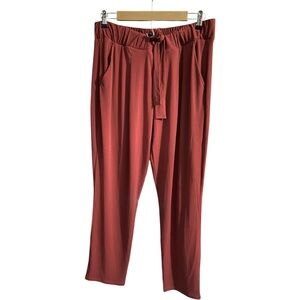 Express Ankle Midrise Stretch Pants Red Large